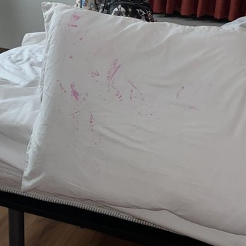 Motel 6 - Stained pillow - Hotels Near Me - Brockton, Massachusetts Motel 6 - Stained pillow - Hotels Near Me - Brockton, Massachusetts
