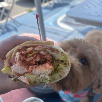Jigger's Diner - Lobster wrap - Diners Near Me - East Greenwich, Rhode Island Jigger's Diner - Lobster wrap - Diners Near Me - East Greenwich, Rhode Island