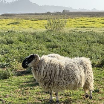 Mission Ranch - Venues & Event Spaces Near Me - Carmel, California