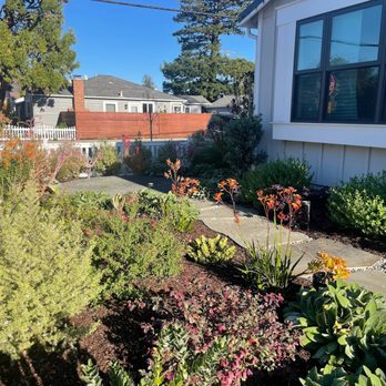 Natural Vibrations - Front yard - General Contractors Near Me
