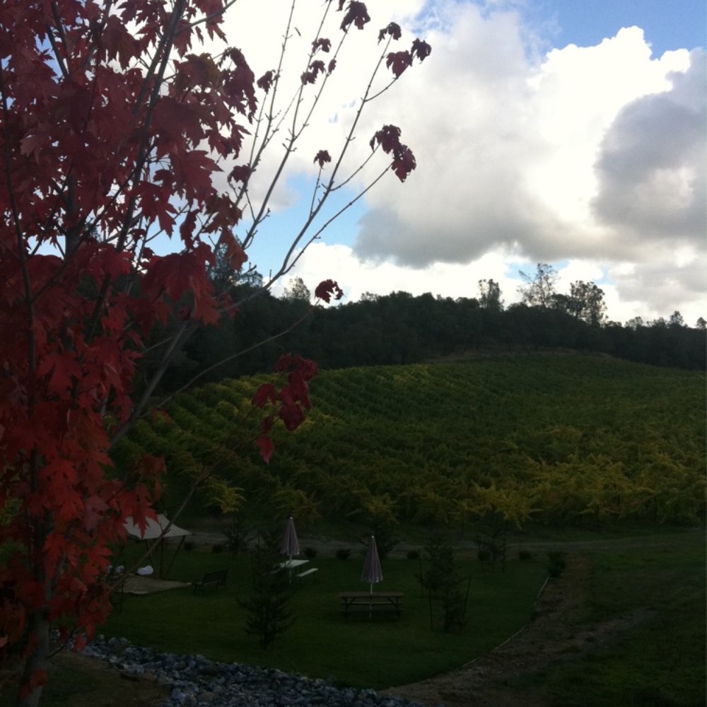 David Girard Vineyards - Venues & Event Spaces Near Me - Placerville, California