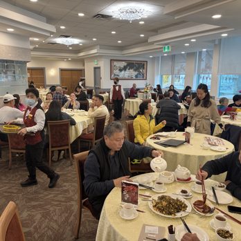 Red Star Seafood Restaurant - Inside of restaurant~ - Seafood Near Me - Vancouver, British Columbia Red Star Seafood Restaurant - Inside of restaurant~ - Seafood Near Me - Vancouver, British Columbia