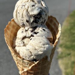 Rich Farm Ice Cream Shop - Guernsey Cow