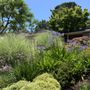 Gorilla Lawn & Landscape Care