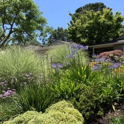 Gorilla Lawn & Landscape Care
