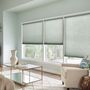 Photo of The Blinds Side