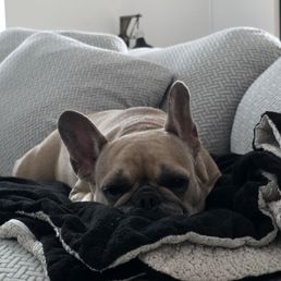 Penny Penny
