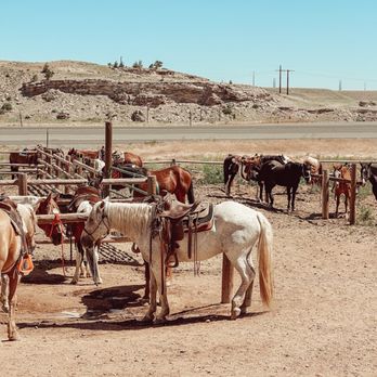 Cedar Mountain Trail Rides - Horseback Riding Near Me - Cody, Wyoming