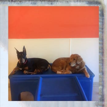 Our Best Friend - Pet Training Near Me - Purdy, Washington Our Best Friend - Pet Training Near Me - Purdy, Washington