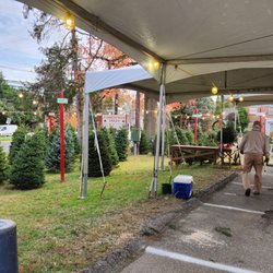 National Capital Optimist Club Christmas Trees