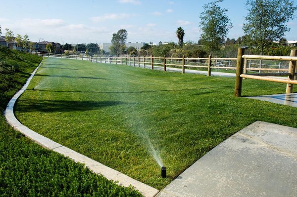 Sprinkler Heads - There are tons of Different options when it comes to sprinkler heads. Trust us to match what works best for you lawn. Sprinkler Heads - There are tons of Different options when it comes to sprinkler heads. Trust us to match what works best for you lawn.