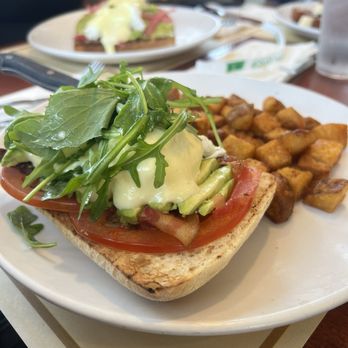 Brownstones Coffee West Islip - Avocado BLT Benedict - Breakfast & Brunch Near Me - Islip, New York