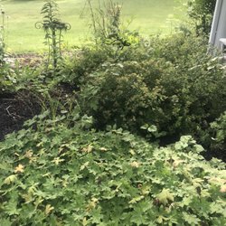 Double B’z Landscaping