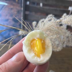 Petról - Perfect egg