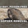 Photo of Gopher Stop