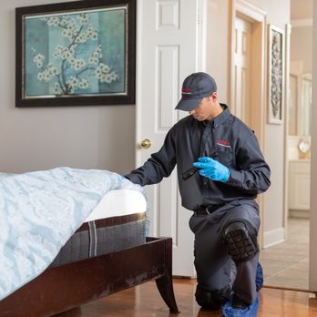 Ehrlich Pest Control - Ehrlich offers the following services for bed bugs: insecticide treatments, fumigation services, heat treatments, and canine detections. - Pest Control Near Me - Binghamton, New York Ehrlich Pest Control - Ehrlich offers the following services for bed bugs: insecticide treatments, fumigation services, heat treatments, and canine detections. - Pest Control Near Me - Binghamton, New York