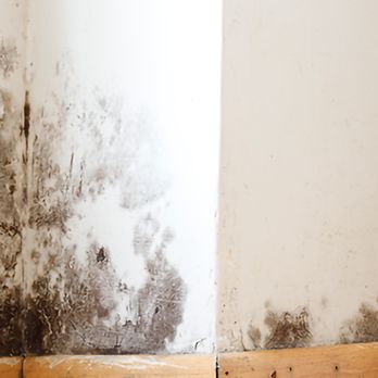 California Consultants - Waterproofing Near Me - Long Beach, California California Consultants - Waterproofing Near Me - Long Beach, California