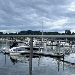 Waterfront Inn