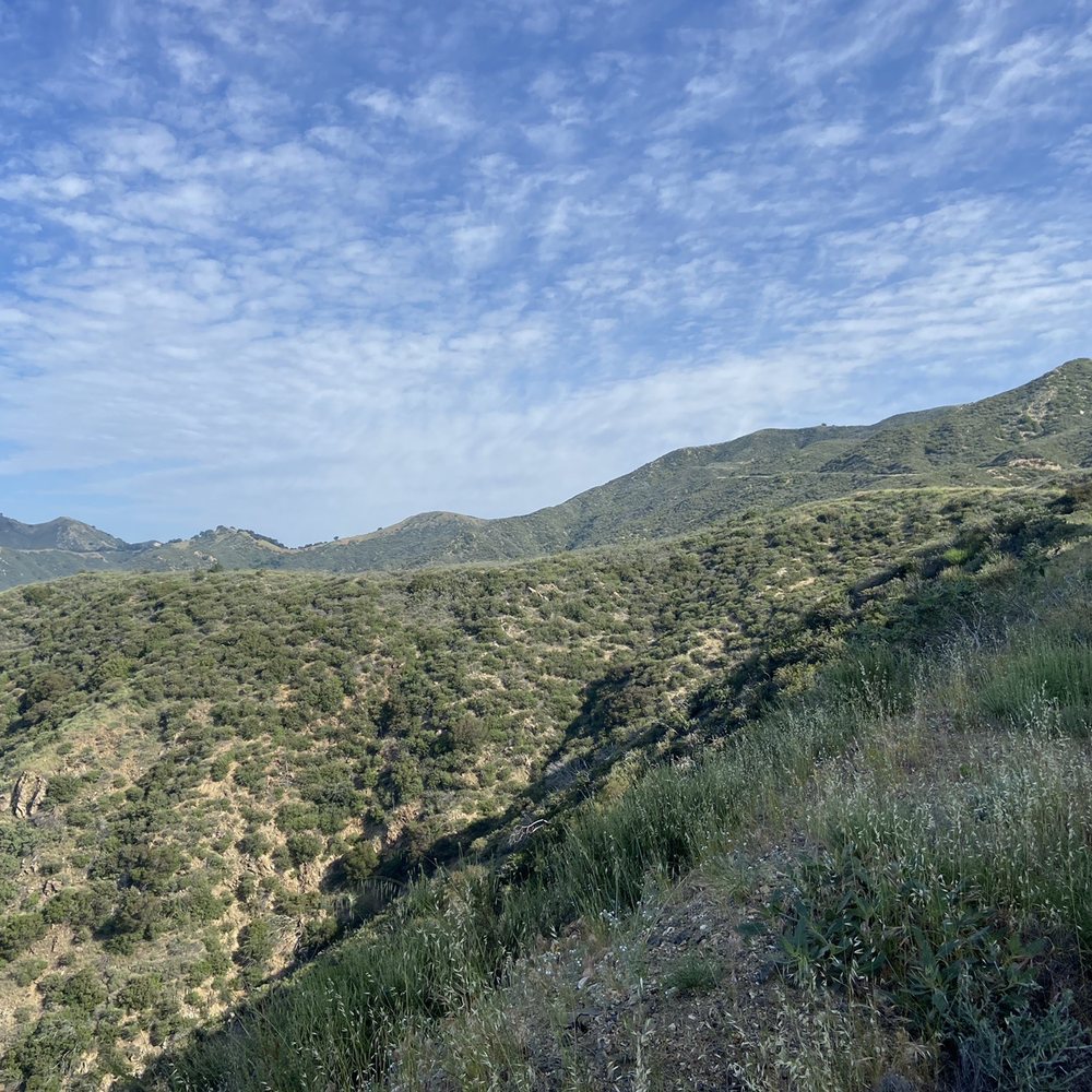 Veterans Memorial Park - More trail ahead after passing the bench at the 3rd mile. - Parks Near Me - Sylmar, California Veterans Memorial Park - More trail ahead after passing the bench at the 3rd mile. - Parks Near Me - Sylmar, California