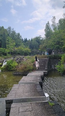 Takino Suzuran Hillside Park by null