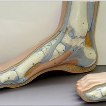 Rick L. Simon - Podiatrists Near Me - Lansdale, Pennsylvania Rick L. Simon - Podiatrists Near Me - Lansdale, Pennsylvania