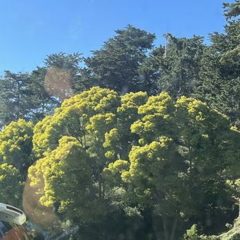 Golden Gate Park - Parks Near Me - San Francisco, California Golden Gate Park - Parks Near Me - San Francisco, California