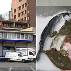 Tassos 5 Ozeane