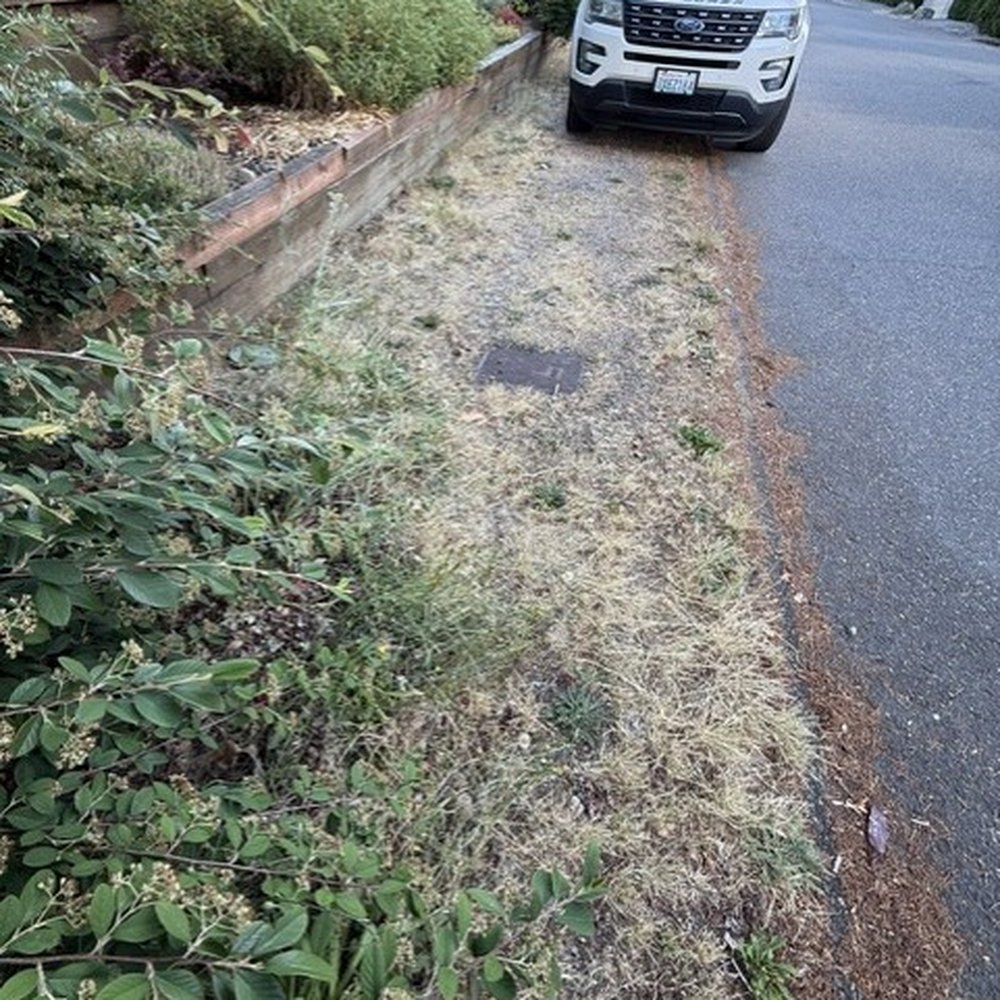 A-Z Landscaping - Before, Parking Area - Landscaping Near Me A-Z Landscaping - Before, Parking Area - Landscaping Near Me