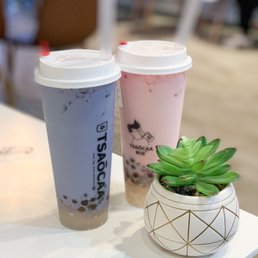 Taro & Jasmine - Two bubble tea drinks in plastic cups with lids and straws are positioned on a white table. One drink is purple with black tapioca pearls at the bottom, and the other is pink with similar tapioca pearls. A small, decorative potted succulent plant with green leaves is also on the table. The background is blurred, indicating an indoor setting, likely a bubble tea shop.