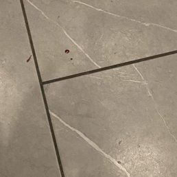 Blood in elevator. Very hazardous Blood in elevator. Very hazardous