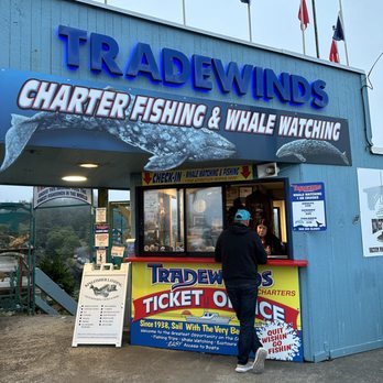Tradewinds Charters - Whale Watching & Fishing - Oregon - Boat Charters Near Me - Depoe Bay, Oregon