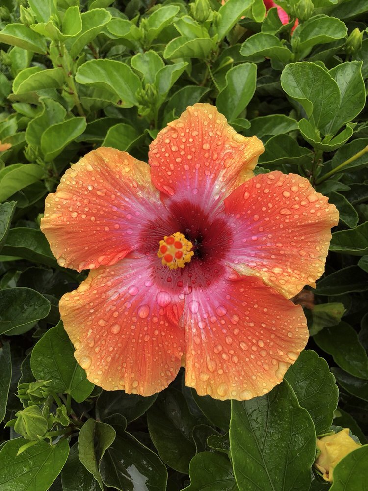 POWELL NURSERY & LANDSCAPING Updated October 2024 23 Reviews 6366