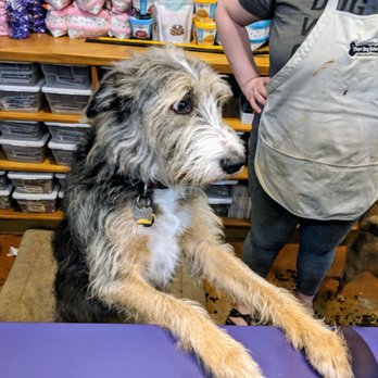 Three Dog Bakery - Employee of the month? - Pet Stores Near Me - Indianapolis, Indiana