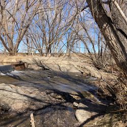 Golden Ponds Park & Nature Area