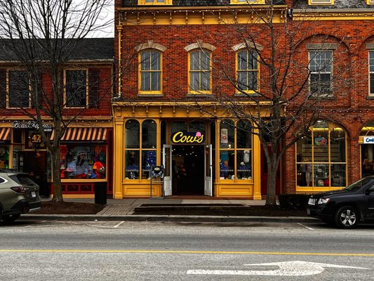 COWS Niagara-On-The-Lake by null