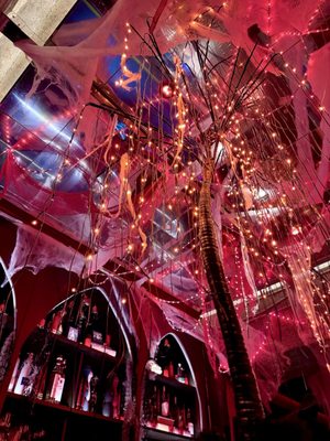 Hidden Bar at Noelle by null Hidden Bar at Noelle by null