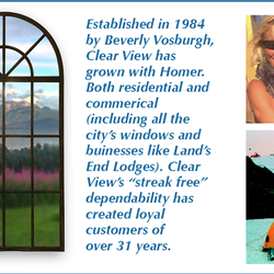 Clear View Window Washing