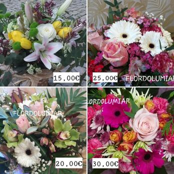 Flor do Lumiar - Florists Near Me - Lisbon, 11 Flor do Lumiar - Florists Near Me - Lisbon, 11