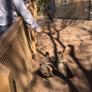 Alameda Park Zoo - Zoos Near Me - Alamogordo, New Mexico Alameda Park Zoo - Zoos Near Me - Alamogordo, New Mexico
