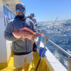 Reel Surprise Charters