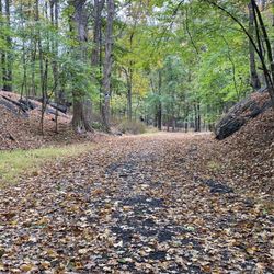 Depew Park & Pool
