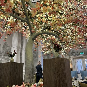 Palm Court - Coffee & Tea Near Me - Edinburgh, EDH Palm Court - Coffee & Tea Near Me - Edinburgh, EDH