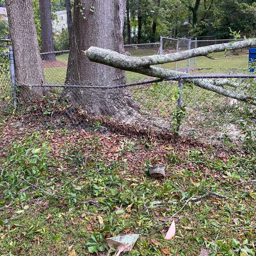 Hernandez Tree Services - Damaged fence. - Tree Services Near Me - Norcross, Georgia Hernandez Tree Services - Damaged fence. - Tree Services Near Me - Norcross, Georgia