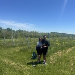 Folklor Wine & Cider - Vines