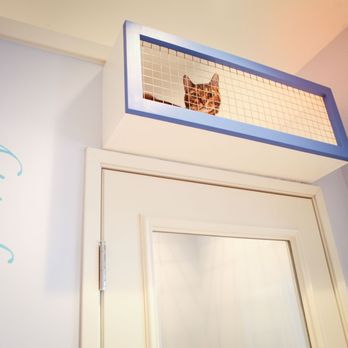 Club Cat - Chilling in my private balcony! - Pet Boarding Near Me - Irvine, California Club Cat - Chilling in my private balcony! - Pet Boarding Near Me - Irvine, California