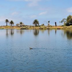 Palo Alto Duck Pond - Views
