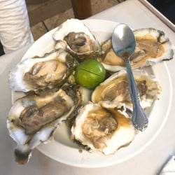 Oysters were mediocre.