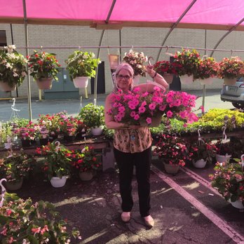 Ashland Berry Farm - I couldn't leave this gorgeous bubblegum petunia plant here! This is going to look great on my deck! - Nurseries & Gardening Near Me - Henrico, Virginia