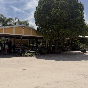 Kiwi Coffee Cafe - Cafes Near Me - DeLand, Florida Kiwi Coffee Cafe - Cafes Near Me - DeLand, Florida