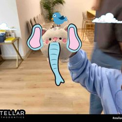 Stellar Orthodontics